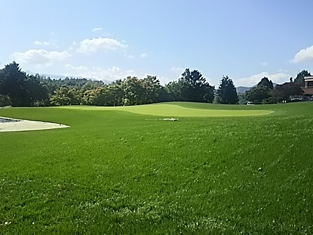 f0227321_19421467.jpg