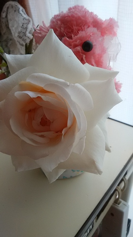 a0370028_14083950.jpg