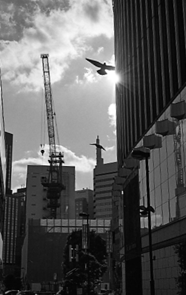 f0333031_08124641.jpg