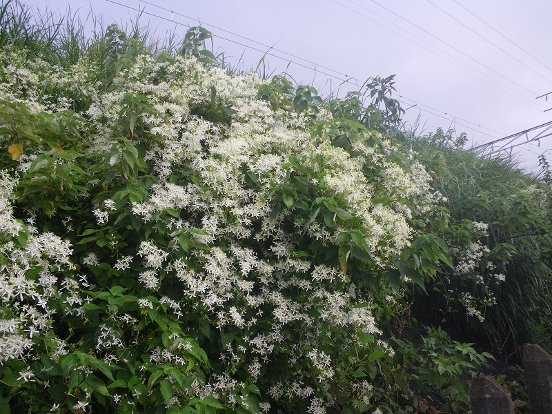 c0033636_2145921.jpg