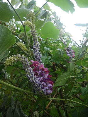 c0033636_226318.jpg