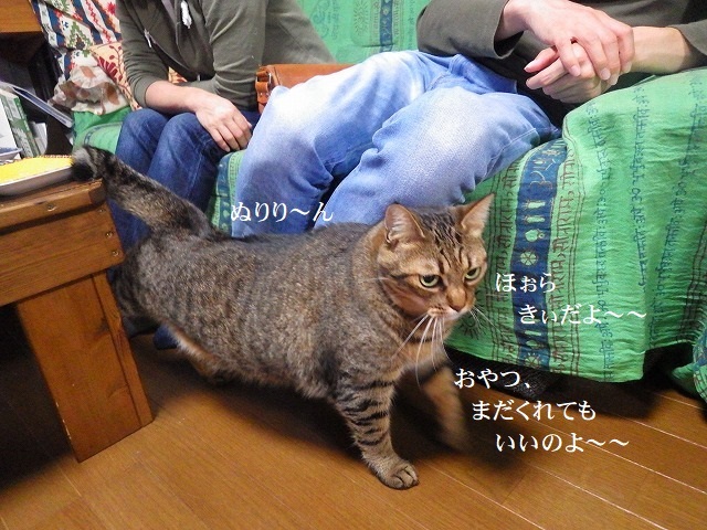 a0337237_14130143.jpg