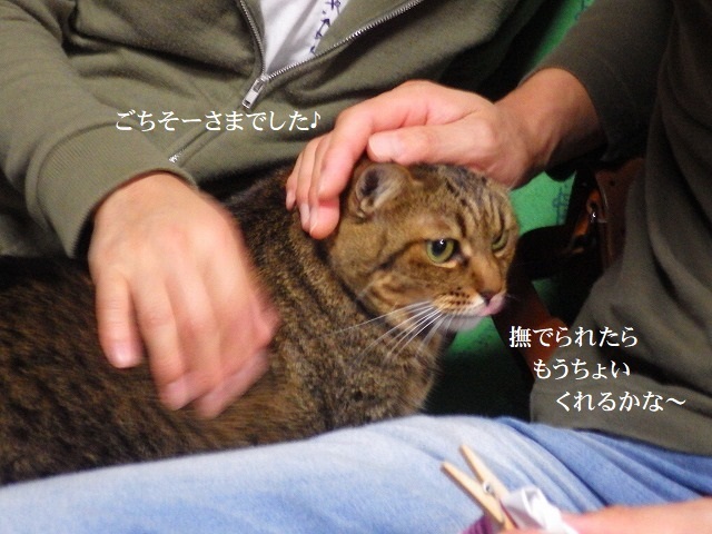 a0337237_14130178.jpg