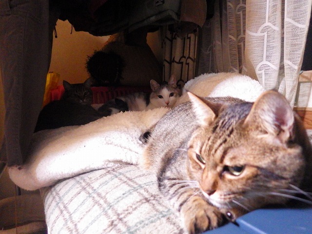 a0337237_14130237.jpg