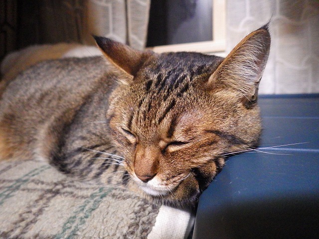 a0337237_14130293.jpg