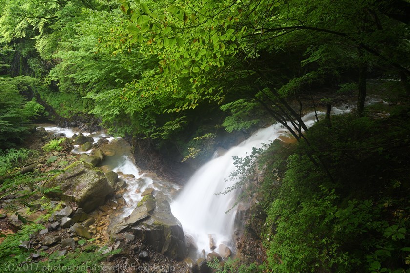 e0362037_20073405.jpg