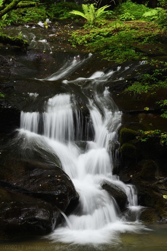 e0362037_20242607.jpg