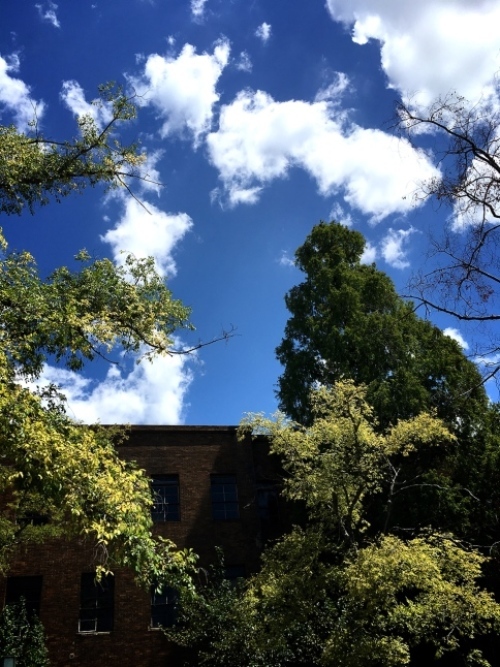 f0191444_11305801.jpg