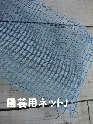 f0128146_07021531.jpg