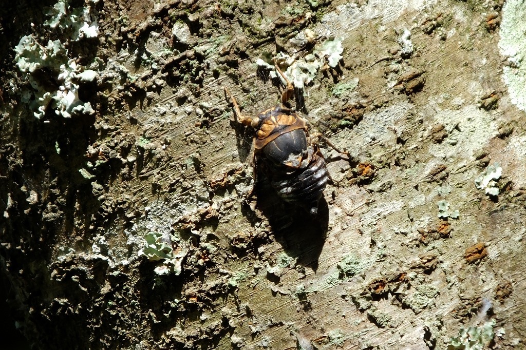 b0236251_14002196.jpg