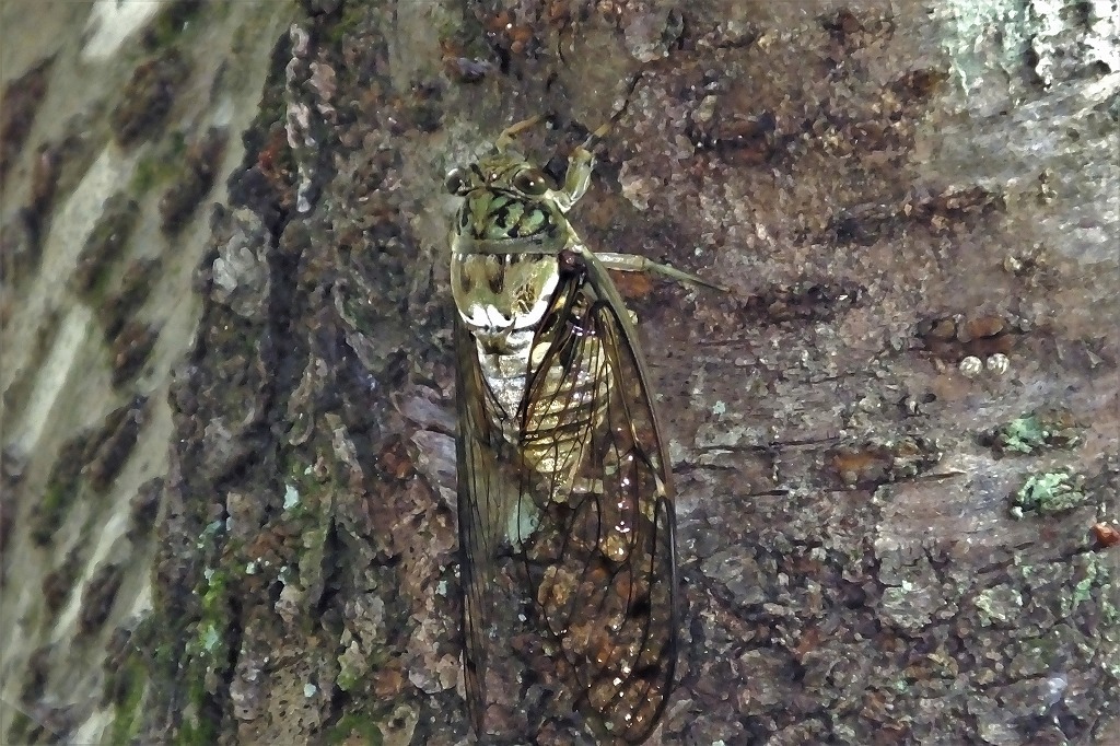 b0236251_14043488.jpg