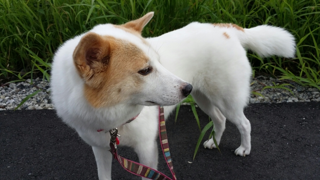 f0046854_20112314.jpg