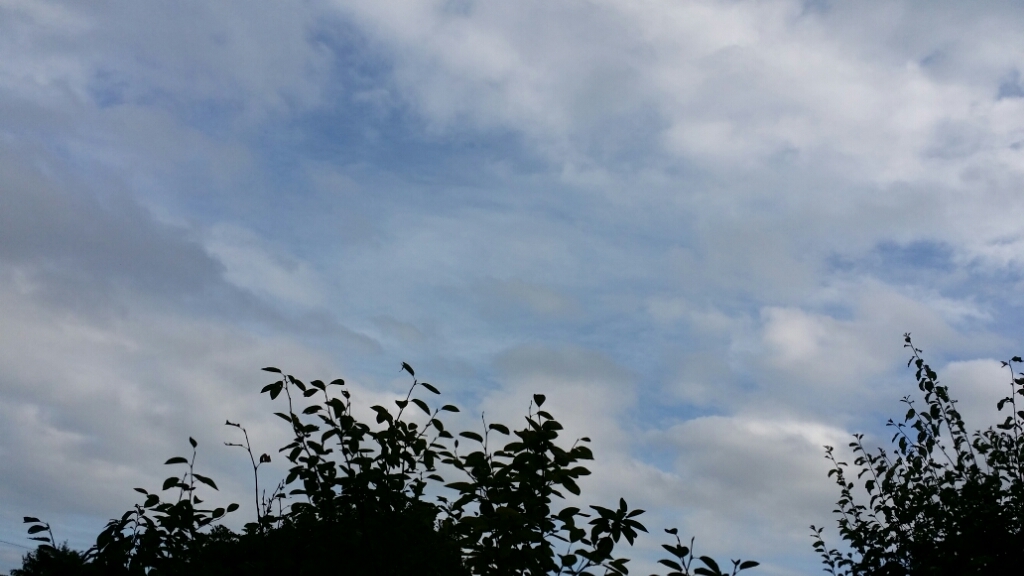 f0046854_20113102.jpg
