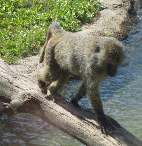 e0203961_00113171.jpg