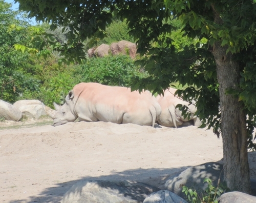 e0203961_00504559.jpg