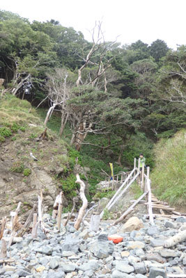 c0050264_22345533.jpg