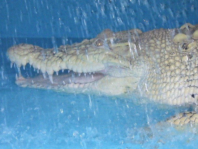 c0105569_01504822.jpg
