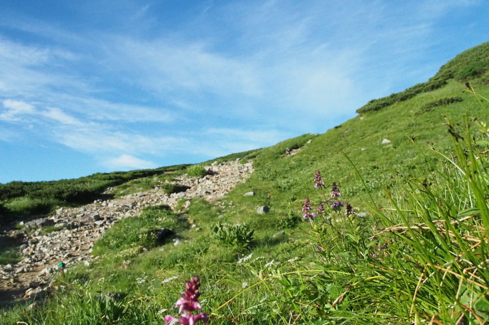 e0307372_11231436.jpg