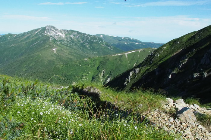 e0307372_20521930.jpg
