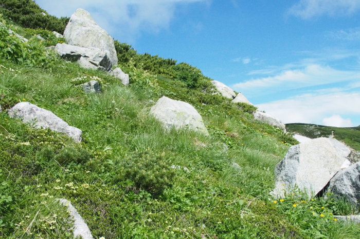 e0307372_21102680.jpg