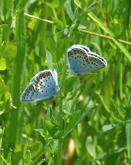 d0084473_20552310.jpg