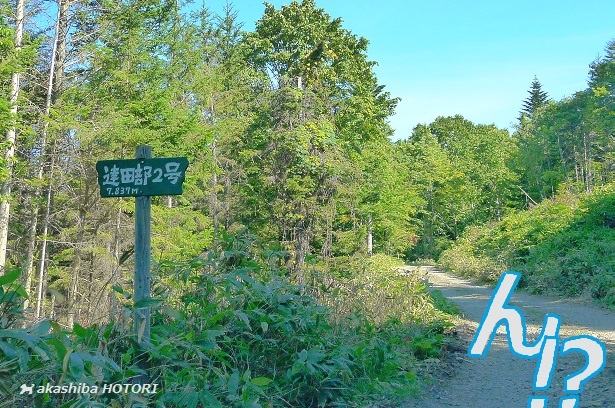 f0150377_14271854.jpg