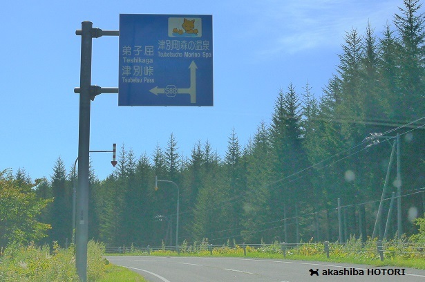 f0150377_14274896.jpg