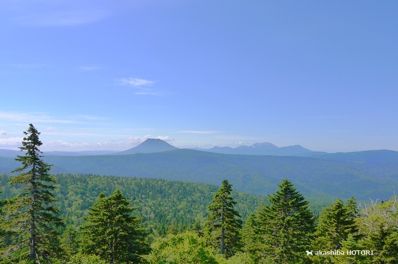 f0150377_14275446.jpg