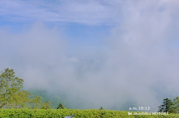 f0150377_16424919.jpg