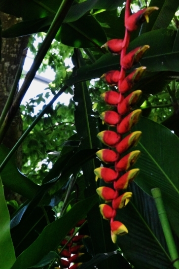 b0329186_06390794.jpg