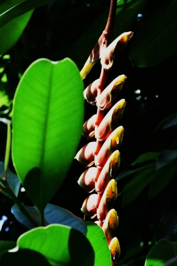 b0329186_06401360.jpg