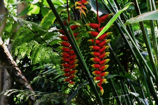 b0329186_06414401.jpg