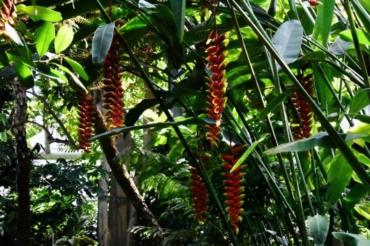b0329186_06444887.jpg