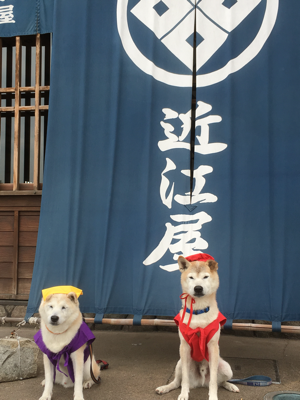 c0123890_14075580.png