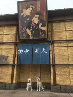 c0123890_14082724.png
