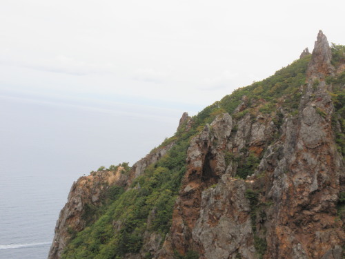 f0297492_18324630.jpg