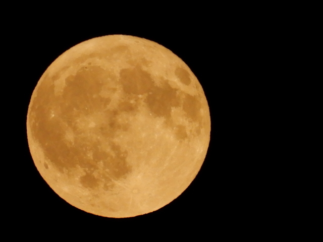 c0361298_21124842.jpg