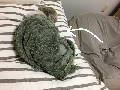 f0372998_22043899.jpg