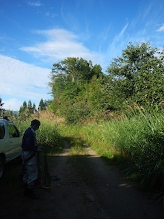 c0359615_23063085.jpg