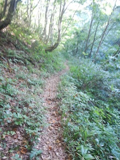 c0359615_23064316.jpg