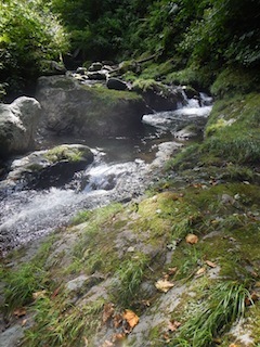 c0359615_23070826.jpg