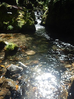 c0359615_23074018.jpg