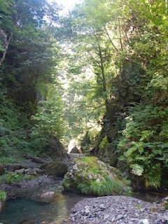 c0359615_23075396.jpg