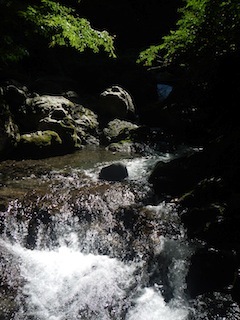 c0359615_23085013.jpg