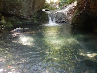 c0359615_23085947.jpg