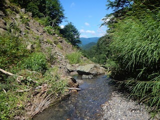 c0359615_23095791.jpg
