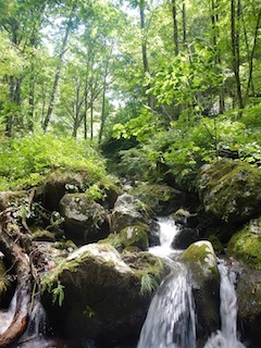 c0359615_23100842.jpg