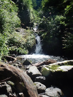 c0359615_23102068.jpg