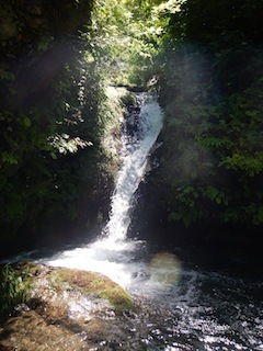 c0359615_23103311.jpg