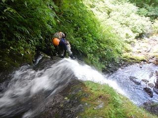 c0359615_23111003.jpg